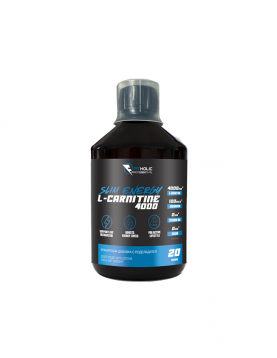 Fitholic Professional L-Carnitine Slim Energy 4000 mg Triple L-Carnitine Matrix