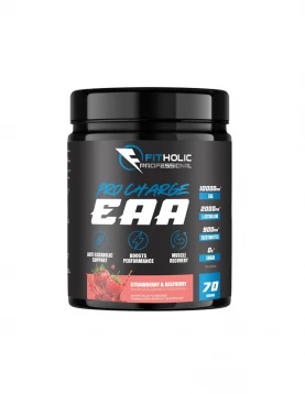 Fitholic Professional Pro Charge EAA 1120gr