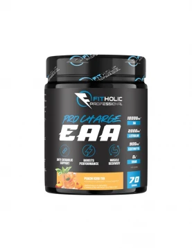 Fitholic Professional Pro Charge EAA 1120gr